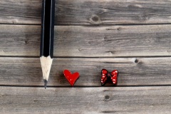 WD11